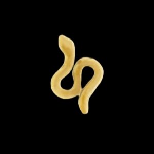 Piercing Nez Serpent