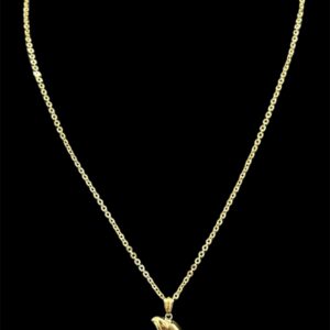 Ensemble Chaine Maille Forçat 60 cm + Pendentif Tête d'Aigle