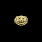 chevaliere tete de lion pink eyes